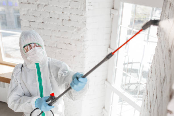 Best Biohazard Mold Removal  in Fort Mitchell, KY