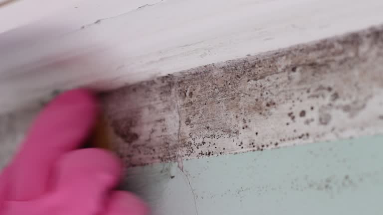 Best Mold Odor Removal Services  in Fort Mitchell, KY